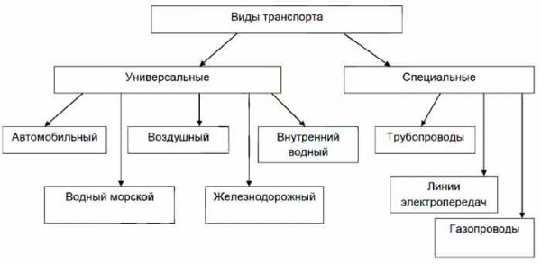 Приведите Примеры Различных Видов Транспорта, Заполнив Схему.